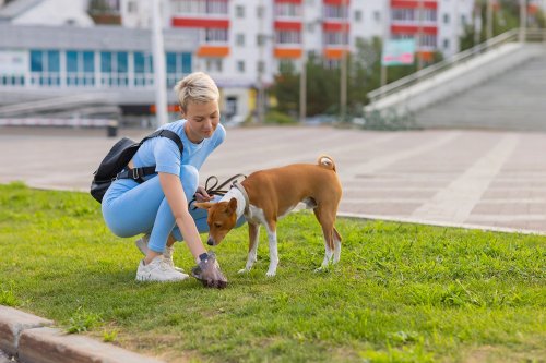 Purlov 17213 Tréningové absorpčné podložky pre psov 100 ks + bonus