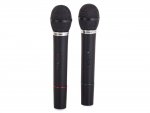 Verk 01058 Karaoke set 2x - C05