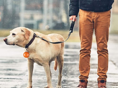 Verk 19310 Svietiaci okrúhly LED prívesok na obojok žltá