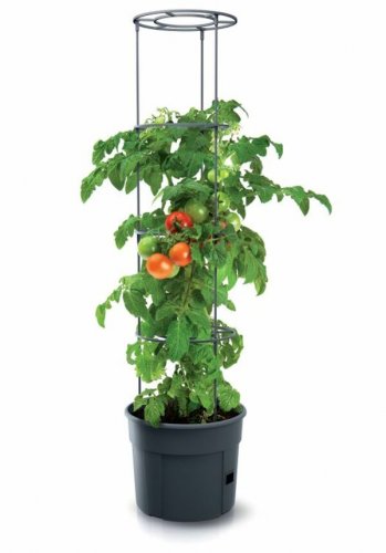 Kvetináč na pestovanie paradajok TOMATO GROWER antracit 39,2cm (max. výška: 153cm)