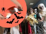 Verk 26127 Umělá pavučina Halloween se 4 pavouky